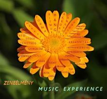 Zene-virág