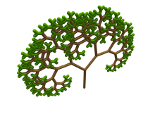 Pythagoraszi fa fraktál  (Pixabay)